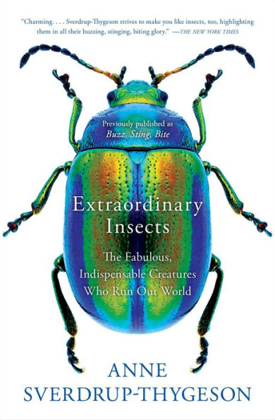 Extraordinary Insects: The Fabulous, Indispensable Creatures Who Run Our World