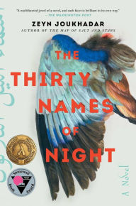 Ebooks free downloads epub The Thirty Names of Night: A Novel (English Edition) by Zeyn Joukhadar 9781982121525 MOBI CHM iBook