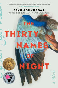 Ebook to download The Thirty Names of Night: A Novel 9781982121525 English version  by Zeyn Joukhadar