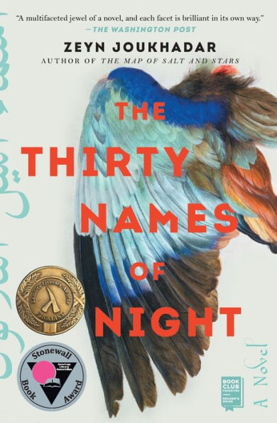 The Thirty Names of Night: A Novel