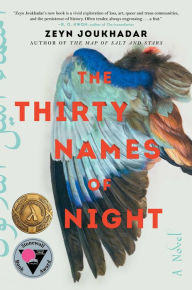 The Thirty Names of Night: A Novel