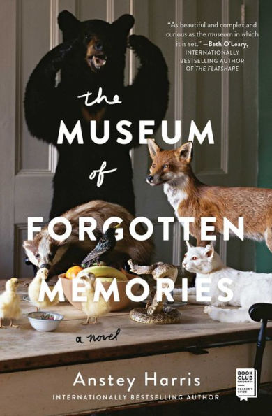 The Museum of Forgotten Memories: A Novel