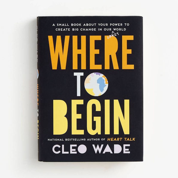 Where to Begin: A Small Book About Your Power Create Big Change Our Crazy World