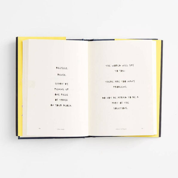 Where to Begin: A Small Book About Your Power Create Big Change Our Crazy World
