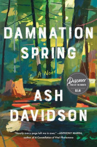 Free download audio ebooks Damnation Spring 9781982144401