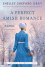 A Perfect Amish Romance