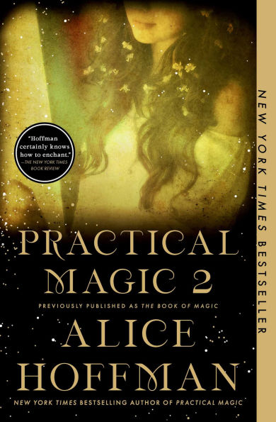 The Book of Magic (Practical 2): A Novel