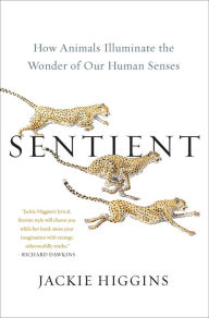 Book downloads for ipod Sentient: How Animals Illuminate the Wonder of Our Human Senses PDB ePub (English literature) 9781982156558 by 