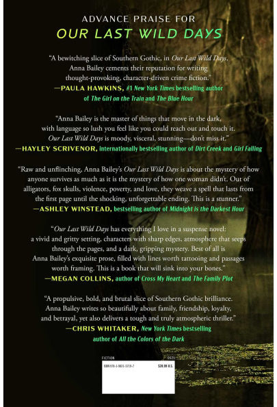 Our Last Wild Days: A Novel