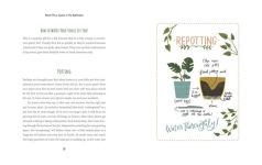 Alternative view 3 of Never Put a Cactus in the Bathroom: A Room-by-Room Guide to Styling and Caring for Your Houseplants