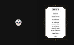 Alternative view 5 of Tarot & Tequila: A Tarot Guide with Cocktails