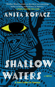 Title: Shallow Waters: A Novel, Author: Anita Kopacz