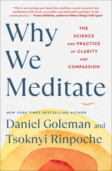 Why We Meditate: The Science and Practice of Clarity Compassion