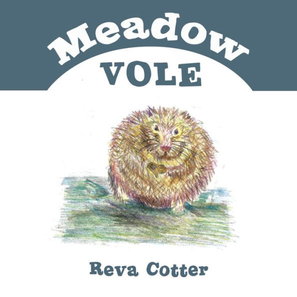 Meadow Vole