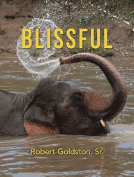 Title: Blissful, Author: Robert Goldston Sr.