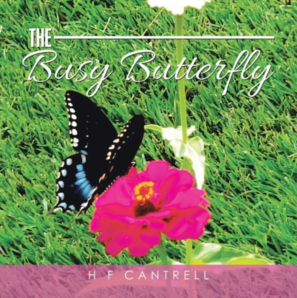 The Busy Butterfly