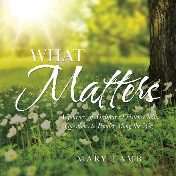 What Matters: A Journey of Ordinary Existence with Questions to Ponder Along the Way