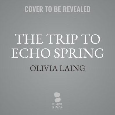 The Trip to Echo Spring: On Writers and Drinking