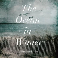 Title: The Ocean in Winter, Author: Elizabeth de Veer