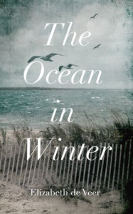 Title: The Ocean in Winter, Author: Elizabeth de Veer