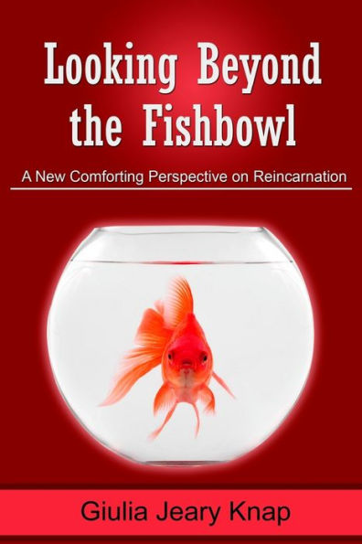 Looking Beyond the Fishbowl: A New Comforting Perspective on Reincarnation