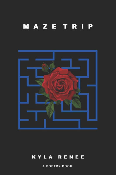 Maze trip