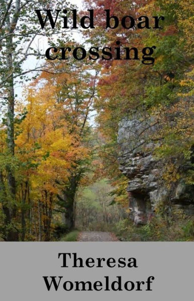 Wild Boar Crossing: Christian Romance Novel