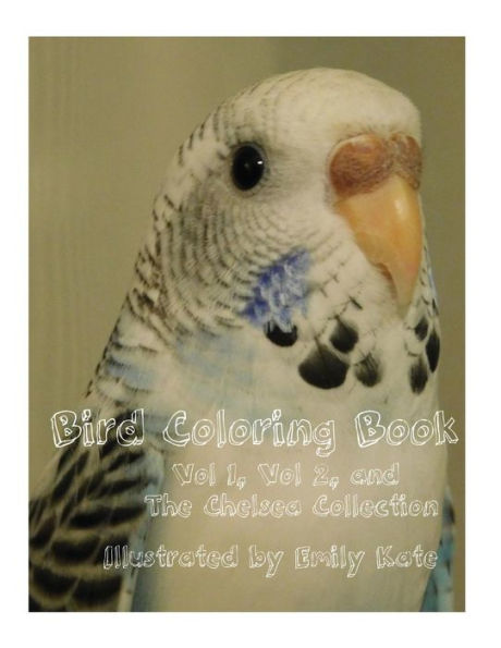 Bird Coloring Book: Vol 1, Vol 2, and "The Chelsea Collection"