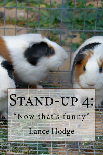 Stand-up 4: "Now that's funny"