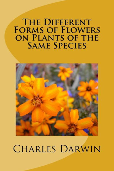 the Different Forms of Flowers on Plants Same Species