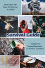 Survival Guide: Best Ideas On How To Survive An EMP + 52 Effective Natural Remedies To Survive Anywhere: (Herbal Medicine, Essential Oils, How to Survive An EMP Attack)