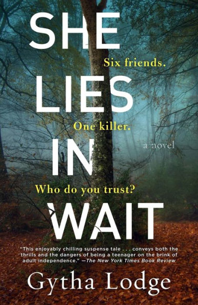 She Lies Wait: A Novel