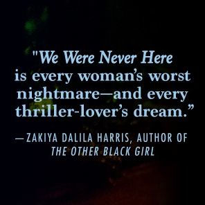 We Were Never Here: A Novel