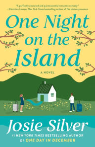 Free pdf downloadable books One Night on the Island: A Novel by  ePub PDB