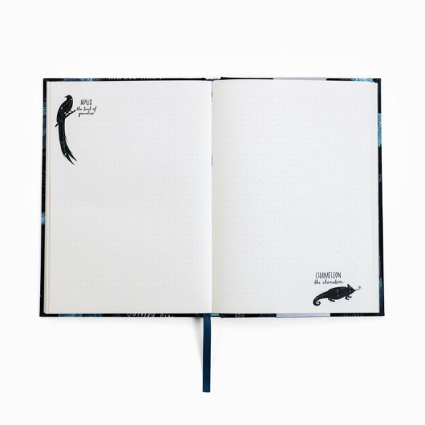 What We See in the Stars: A 12-Notebook Set