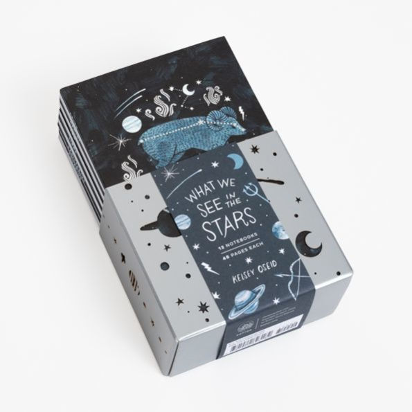 What We See in the Stars: A 12-Notebook Set