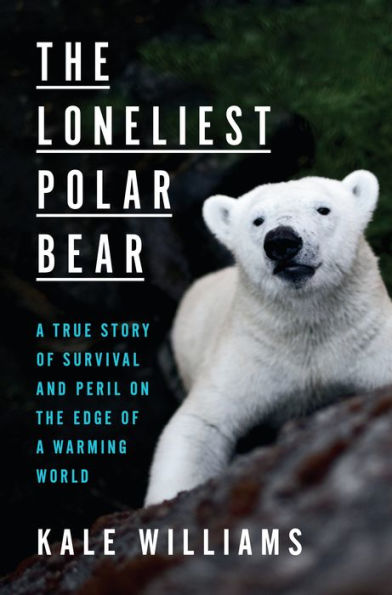 the Loneliest Polar Bear: a True Story of Survival and Peril on Edge Warming World