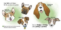 Alternative view 4 of Dr. Seuss Discovers: Dogs