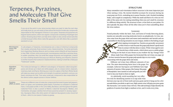 Smart Mouth: Wine Essentials for You, Me, and Everyone We Know