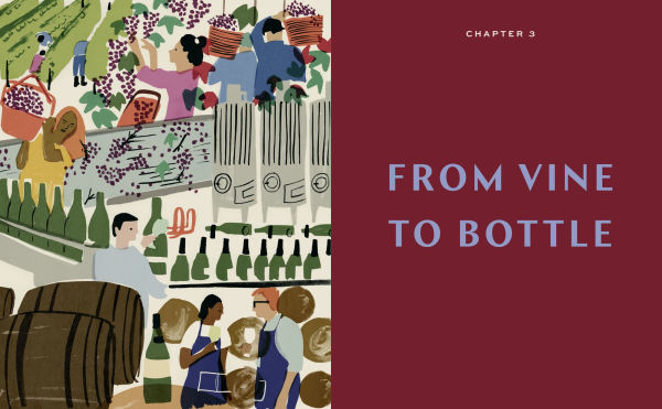 Smart Mouth: Wine Essentials for You, Me, and Everyone We Know