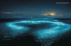 Alternative view 6 of The Explorers Club: A Visual Journey Through the Past, Present, and Future of Exploration