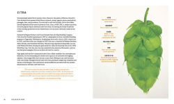 Alternative view 4 of The Book of Hops: A Craft Beer Lover's Guide to Hoppiness