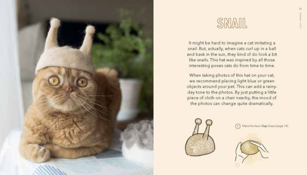 Cat-hair Hats For Cats - By Rojiman & Umatan (hardcover) : Target