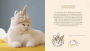 Alternative view 4 of Cat-Hair Hats for Cats: Craft Fetching Headwear for Your Feline Friends