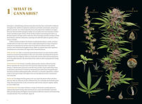 Alternative view 2 of Higher: The Lore, Legends, and Legacy of Cannabis
