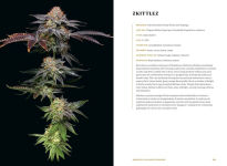 Alternative view 7 of Higher: The Lore, Legends, and Legacy of Cannabis