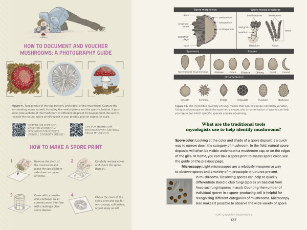 Dr. Fun Guy's Passport to Kingdom Fungi: A Scientist's Guide the Wild and Wonderful World of Mushrooms, Molds, More