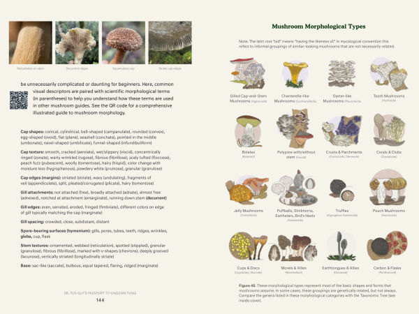 Dr. Fun Guy's Passport to Kingdom Fungi: A Scientist's Guide the Wild and Wonderful World of Mushrooms, Molds, More
