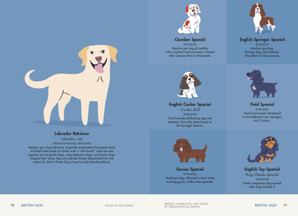 Dogs of the World: A Gallery Pups from Purebreds to Mutts [A Dog Breed Book]