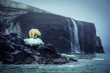 Alternative view 2 of Bi-Polar: Photographs from an Unquiet Mind